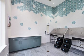 Pet Spa at Mason Stuart, Florida